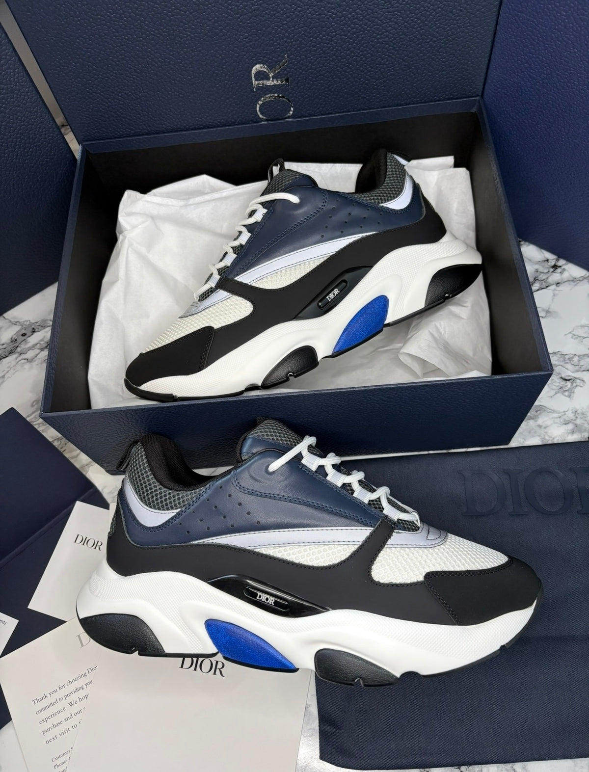 Dior B22 Navy / White