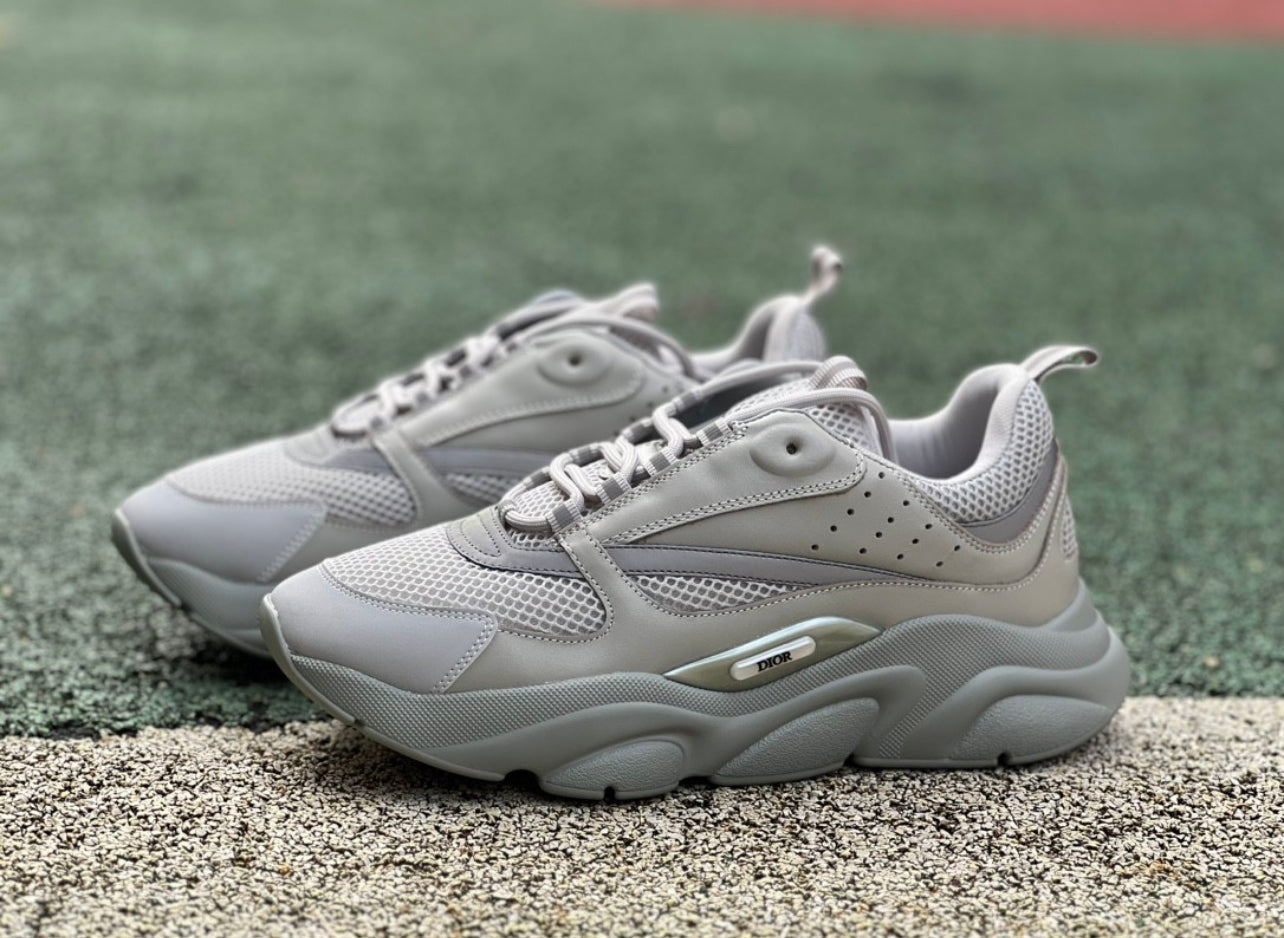 Dior b22 / Grey