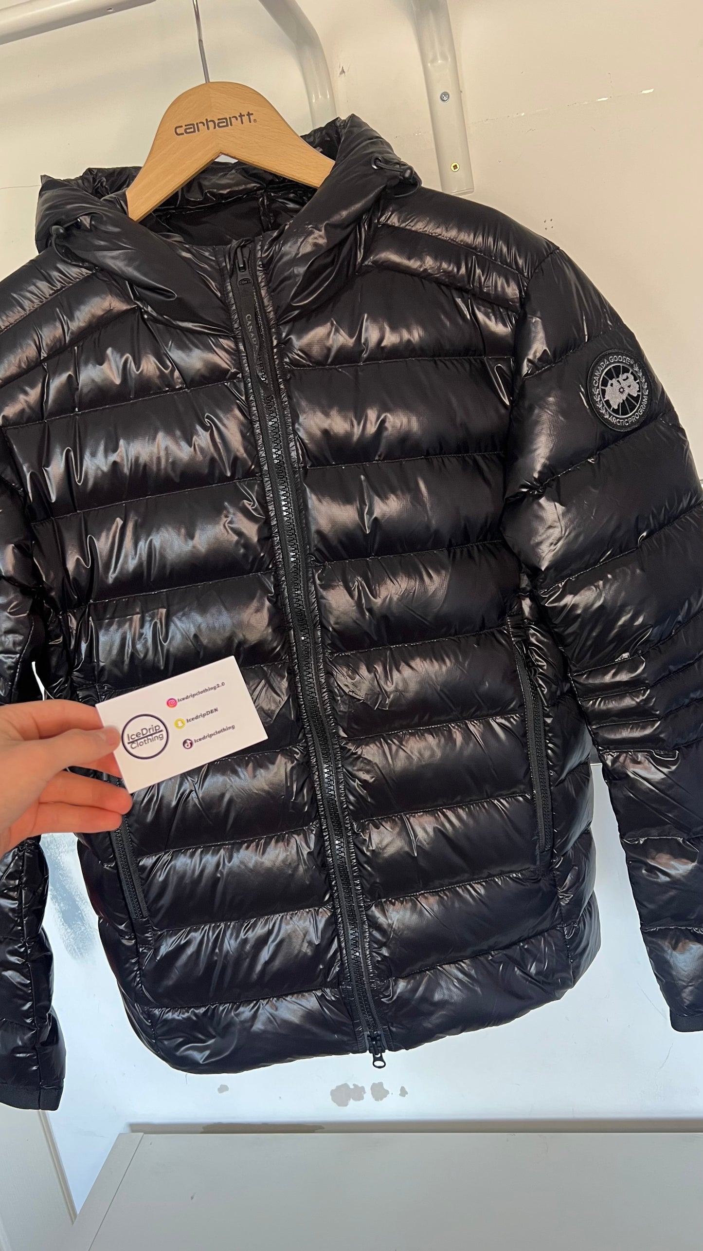 Canada goose crofton , Black