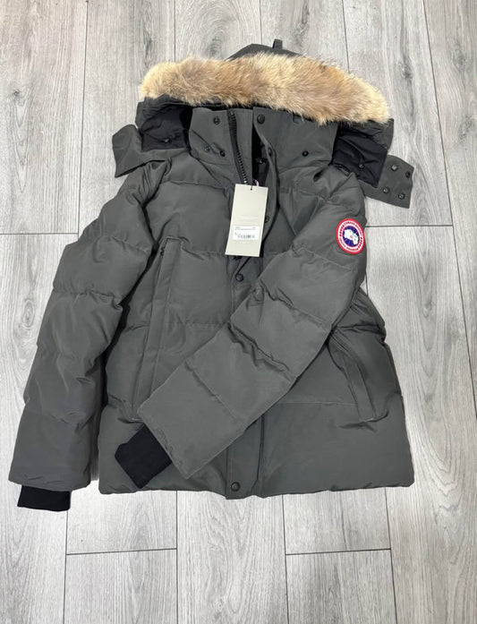 Canada goose Wyndham , Grey