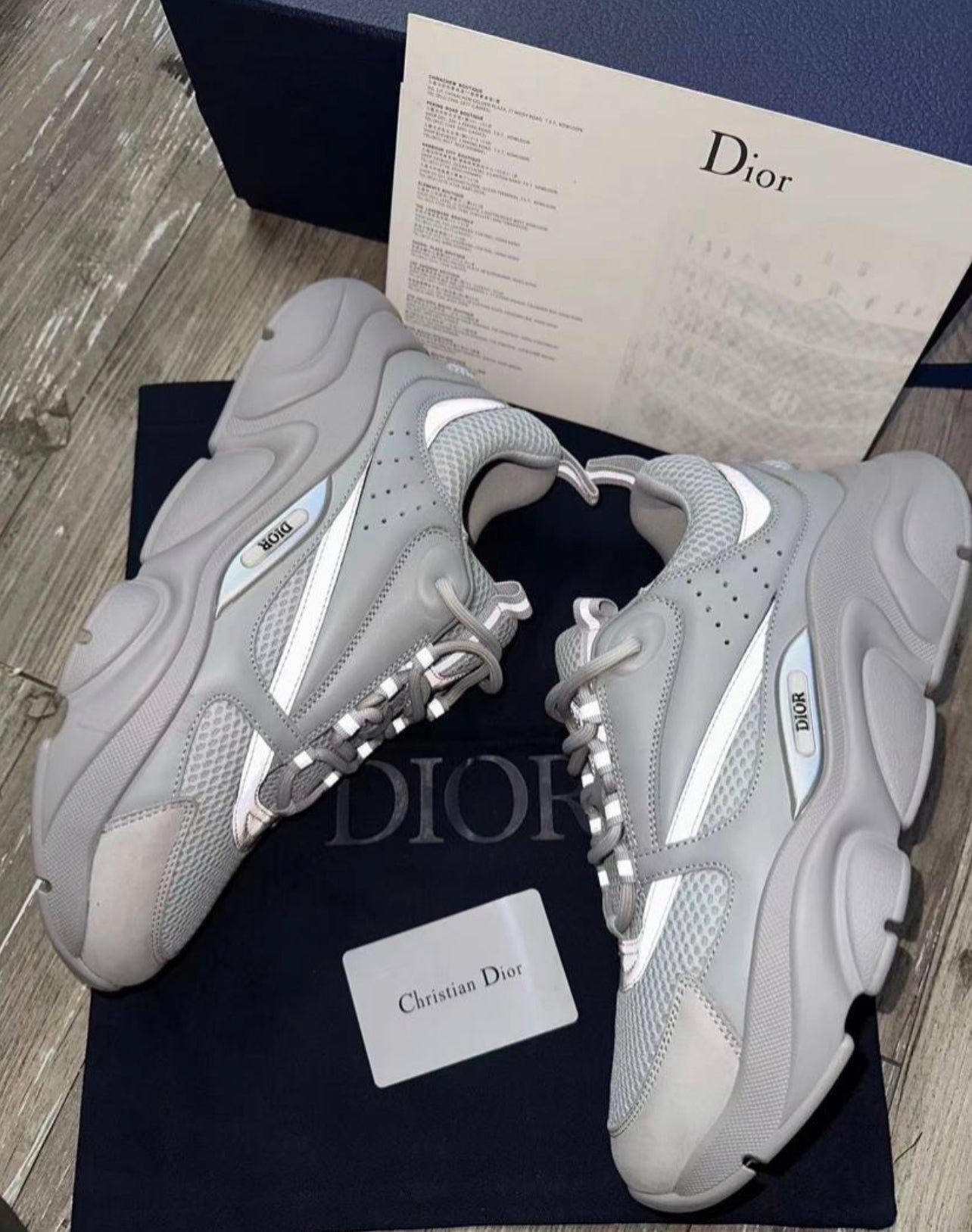 Dior b22 / Grey