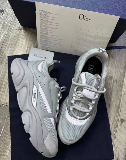 Dior b22 / Grey