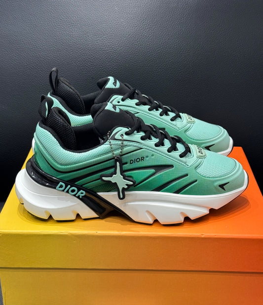 Dior b44 / Light grey/Green (limited edition)
