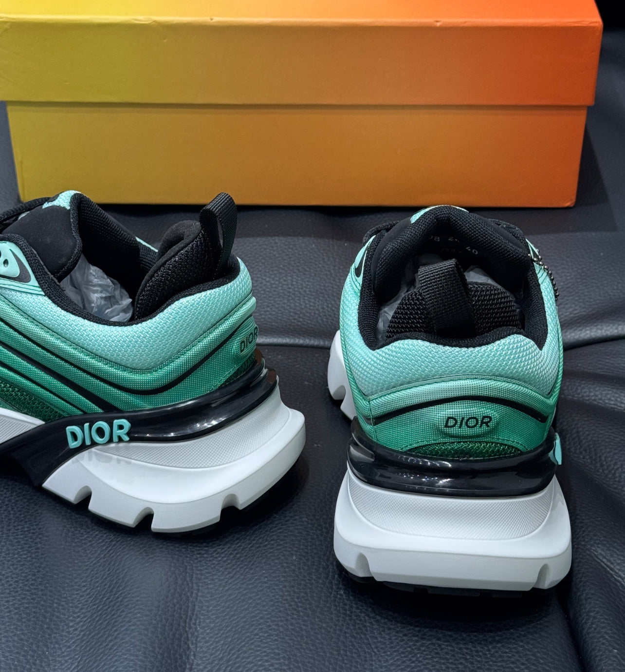Dior b44 / Light grey/Green (limited edition)