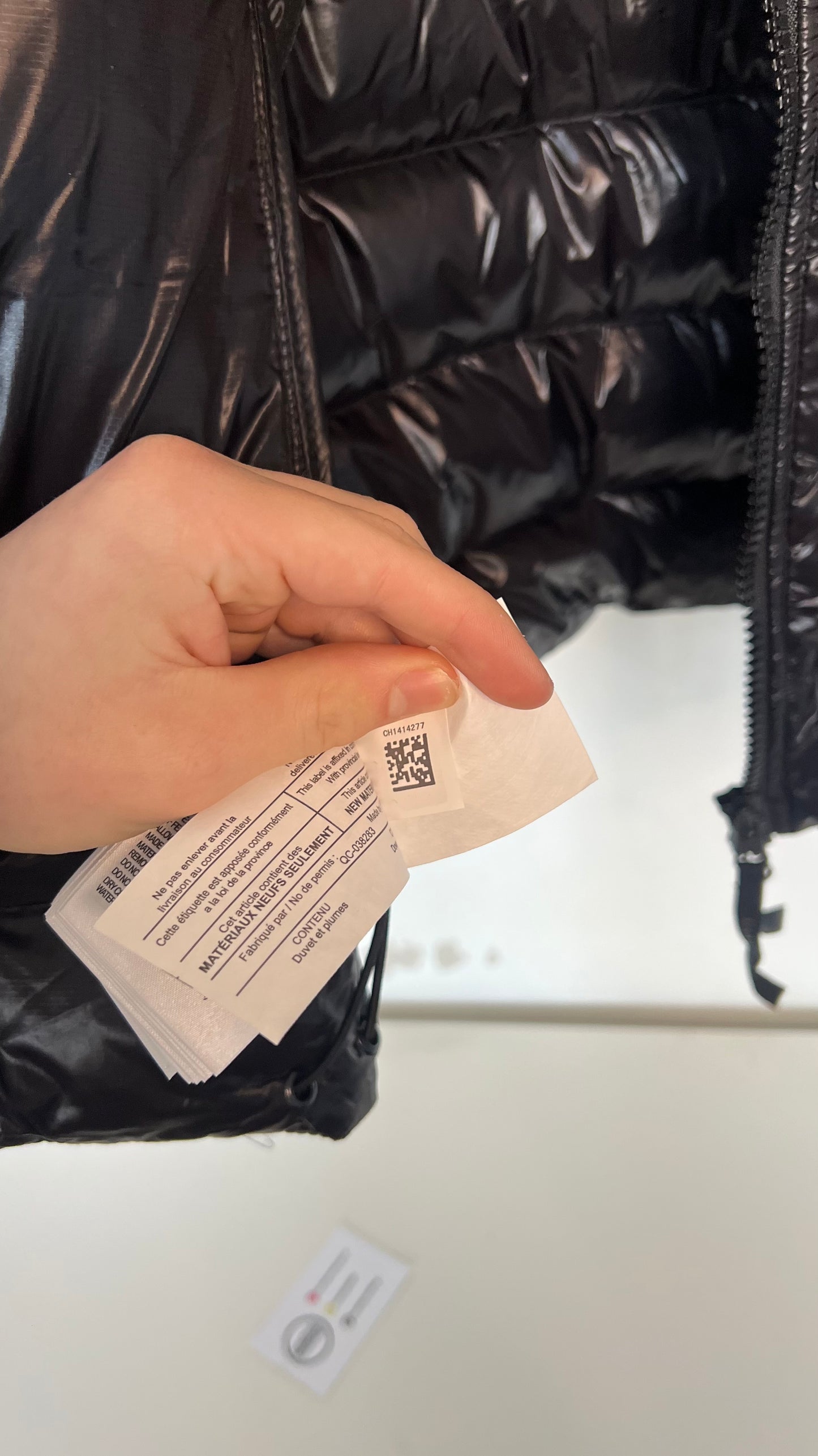 Canada goose crofton , Black