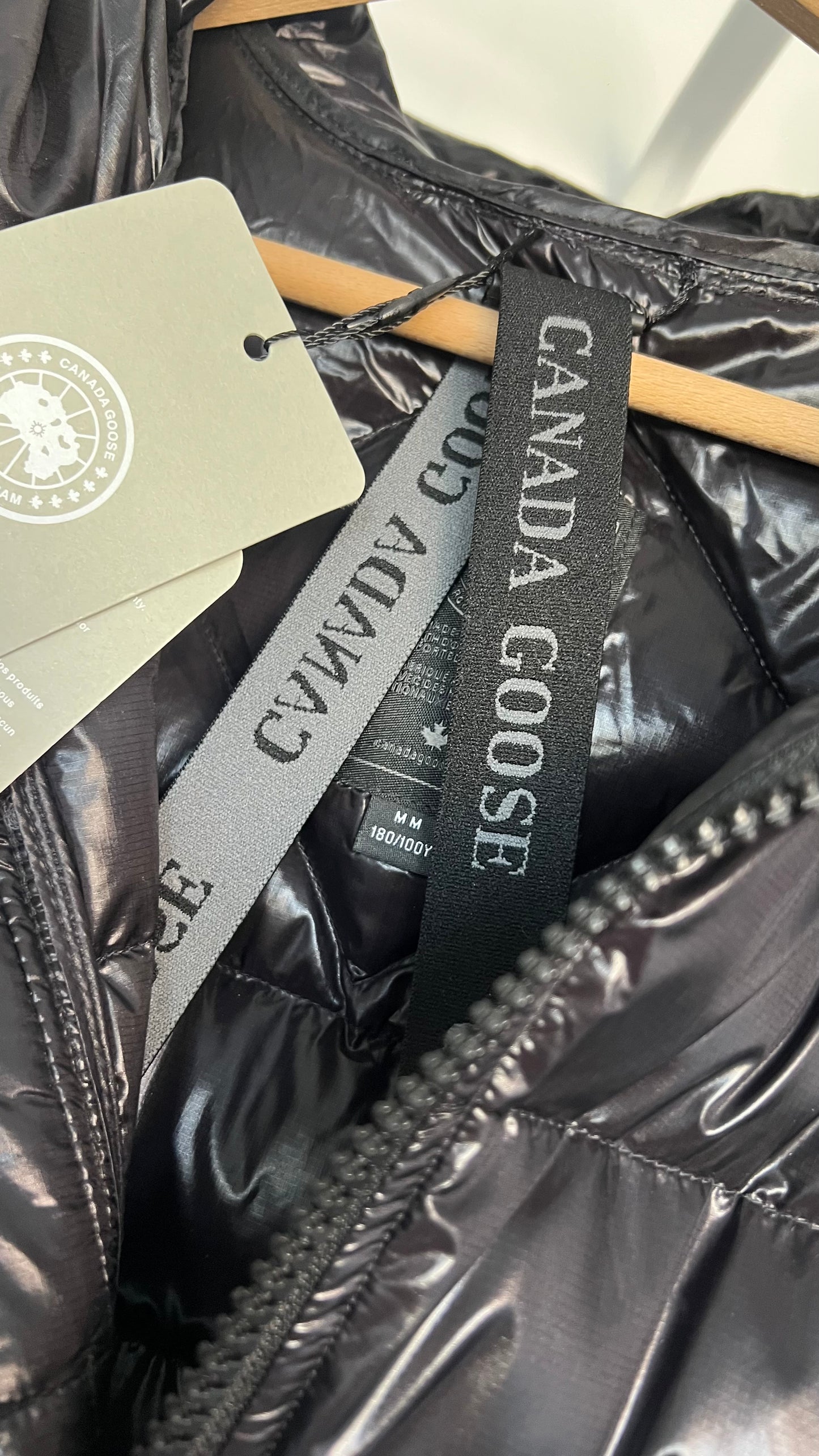 Canada goose crofton , Black