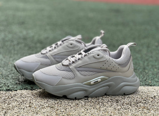 Dior b22 / Grey
