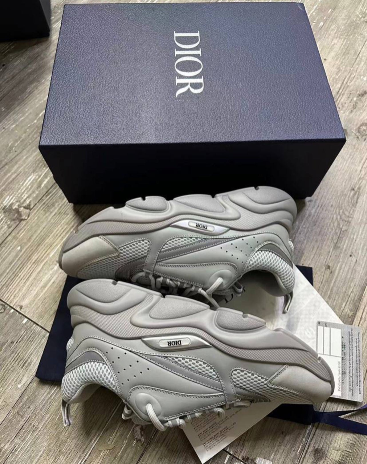 Dior b22 / Grey